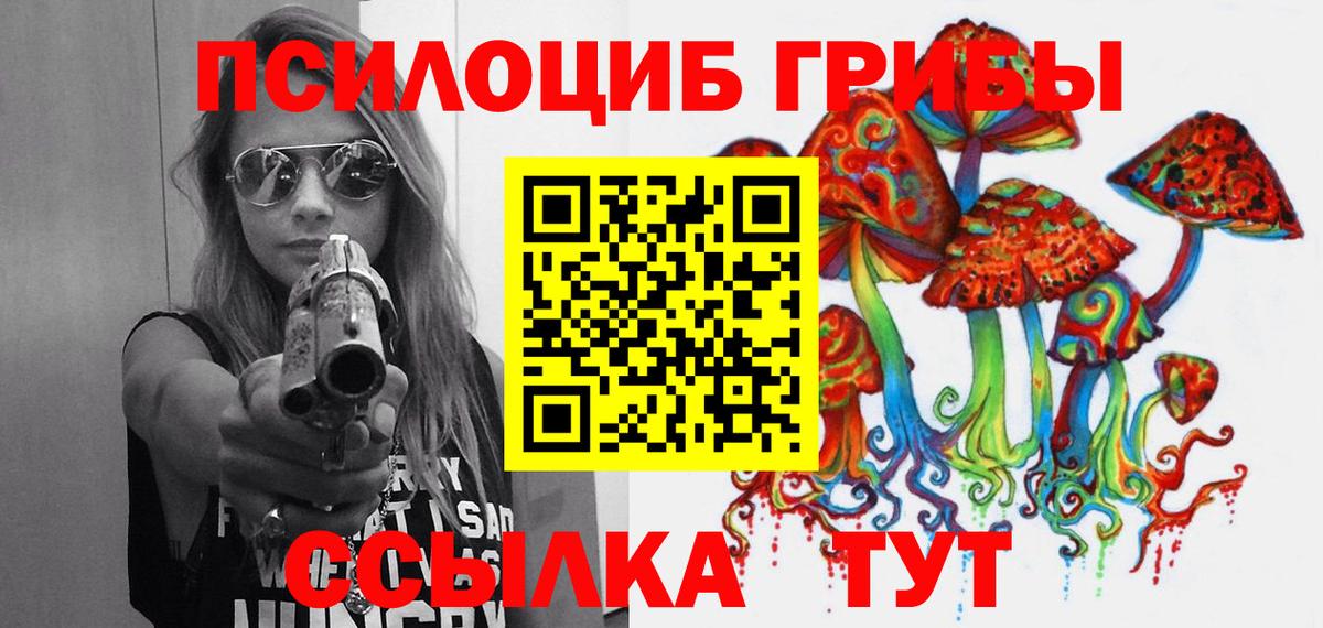 Псилоцибиновые грибы Cubensis  Вход с VPN  Мариинск 